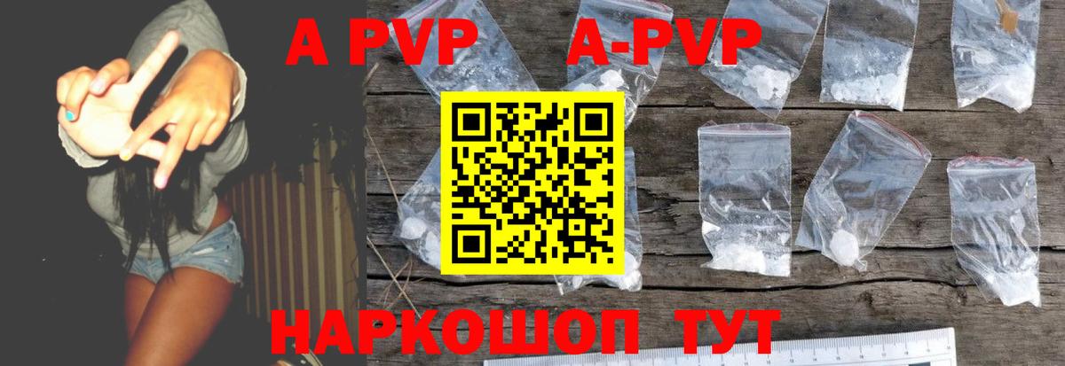 закладки  A PVP СК  А ПВП  Вход с VPN  Отрадный  Alpha-PVP СК КРИС 