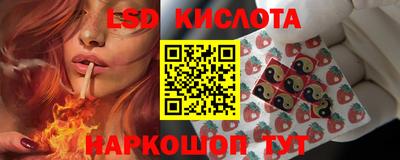 бошки Тверь