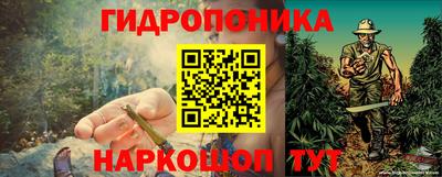бошки Тверь
