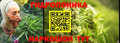 бошки Тверь