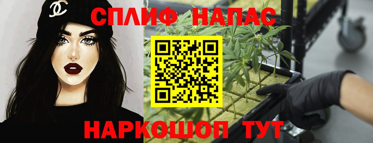 Бошки Шишки гибрид Отрадный